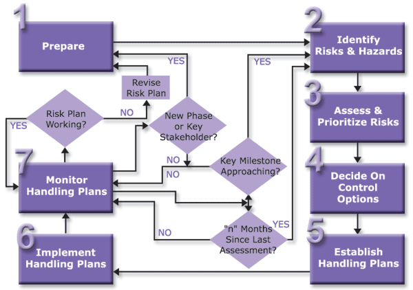 Risk Process Diagram